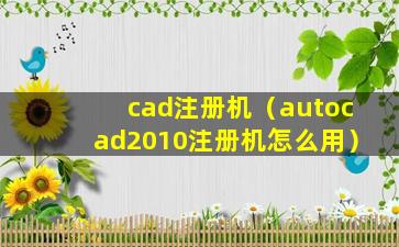 cad注册机（autocad2010注册机怎么用）