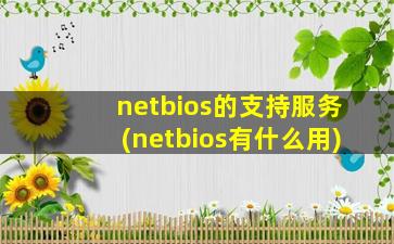 netbios的支持服务(netbios有什么用)