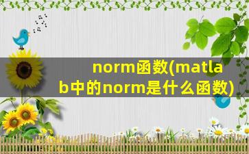 norm函数(matlab中的norm是什么函数)