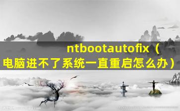 ntbootautofix（电脑进不了系统一直重启怎么办）