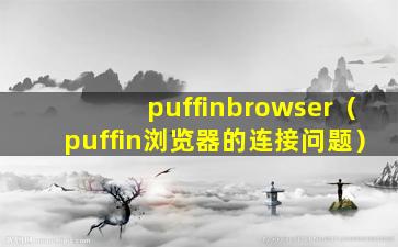 puffinbrowser（puffin浏览器的连接问题）