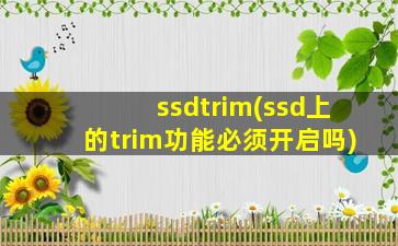 ssdtrim(ssd上的trim功能必须开启吗)
