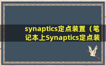 synaptics定点装置（笔记本上Synaptics定点装置是什么？有什么作用？）