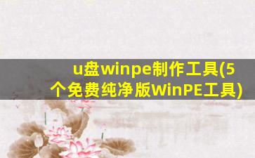u盘winpe制作工具(5个免费纯净版WinPE工具)