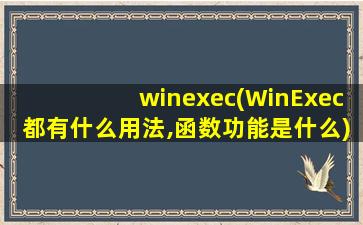 winexec(WinExec都有什么用法,函数功能是什么)