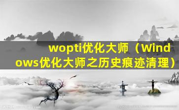 wopti优化大师（Windows优化大师之历史痕迹清理）