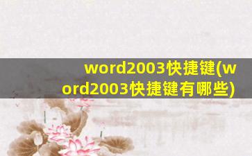 word2003快捷键(word2003快捷键有哪些)