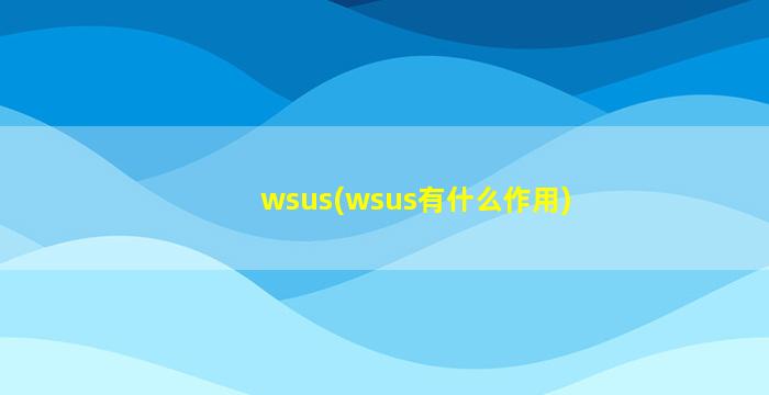wsus(wsus有什么作用)
