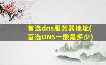 首选dns服务器地址(首选DNS一般是多少)